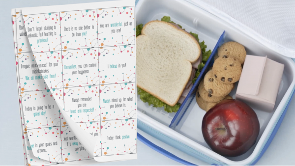 A Snug From Home- Motivational and Empowering Lunch Box Notes Cards for Kids & Teens #1